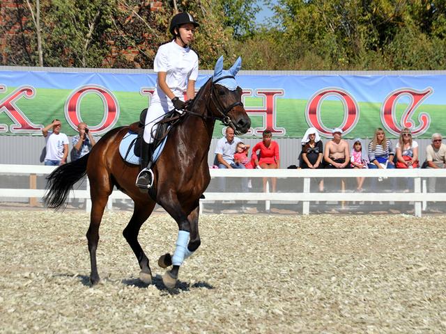 В Валуйском районе прошёл конноспортивный фестиваль