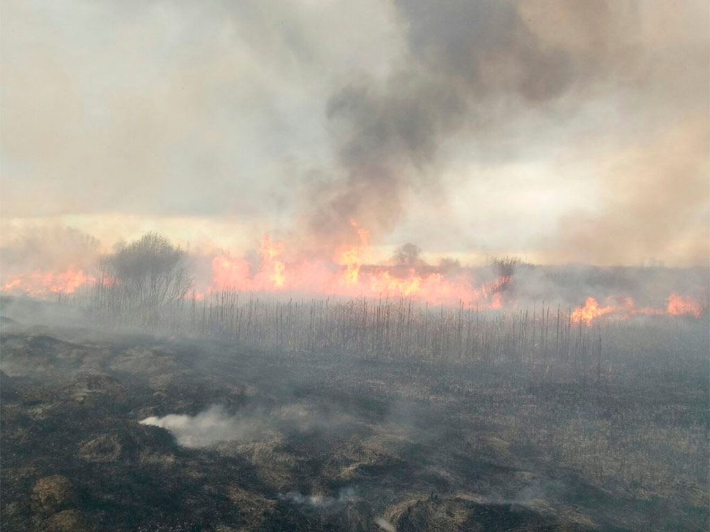 За январь – март 2021 года в Белгородской области при пожарах погибли 28 человек