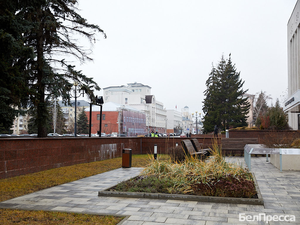 Белгородские синоптики назвали причину аномально тёплой зимы