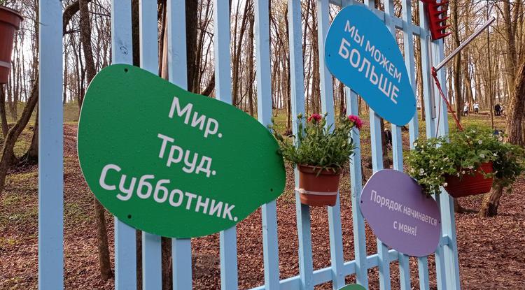 Власти рассчитывают на участие 300 тысяч белгородцев в экологических акциях