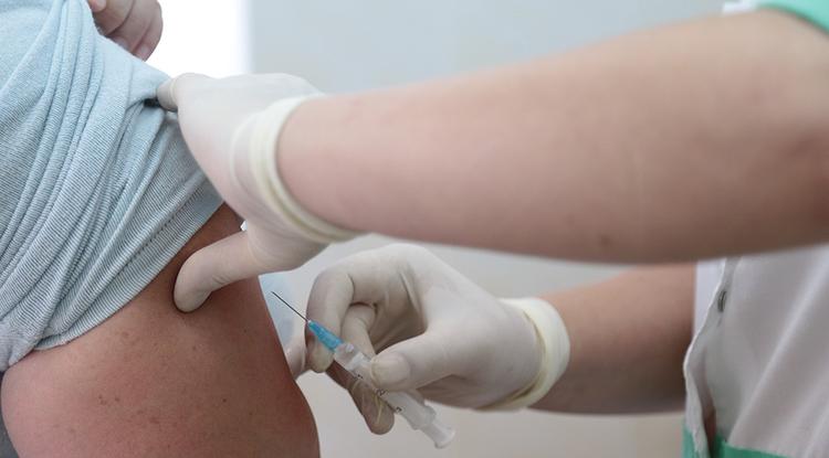 В 2024 году вакцинацию от гриппа в Белгородской области начнут раньше обычного