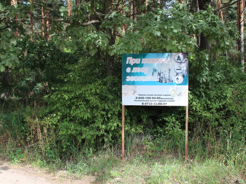 Вячеслав Гладков: «Вдоль лесных массивов проложили более 100 км минерализованных полос»