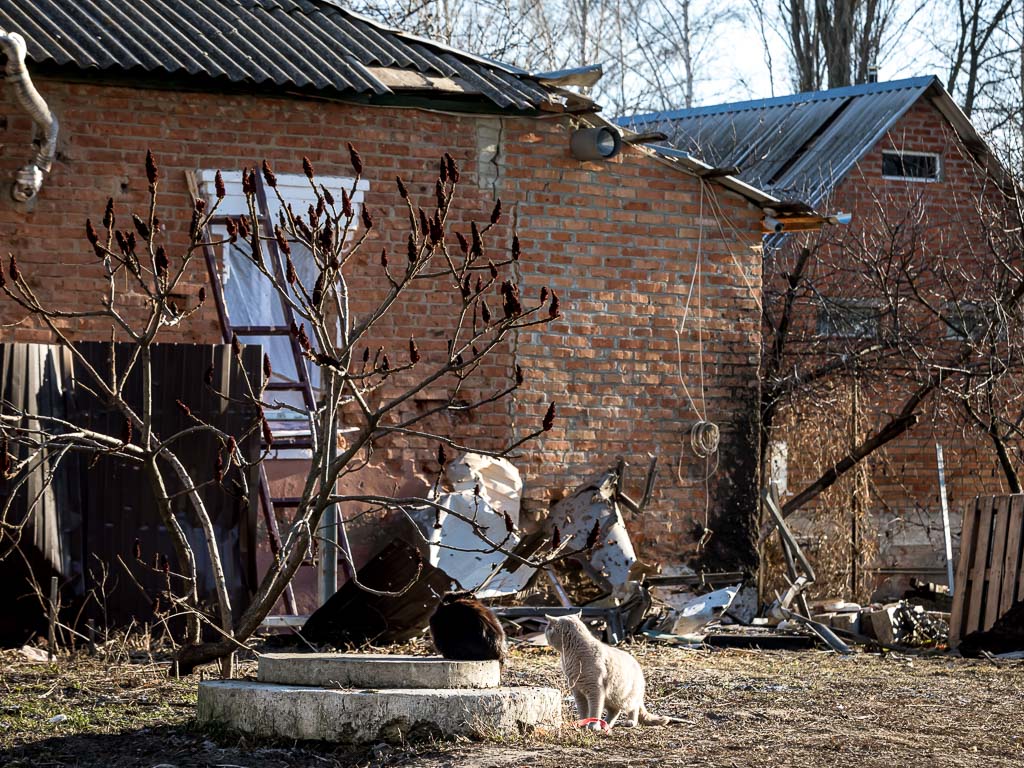 В нескольких сёлах Белгородской области жители просят ввести ЧС