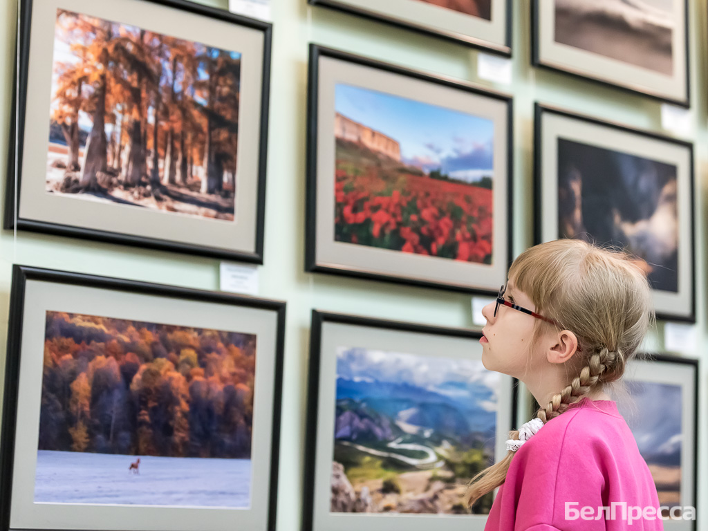 В XV фотоконкурсе имени Виталия Собровина в Белгороде участвовали 124 фотографа