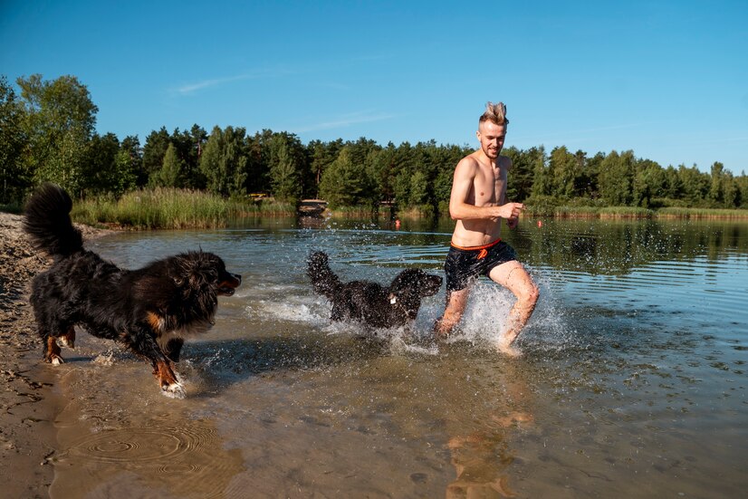Белгородцам на заметку: на какие пляжи можно приходить с собаками