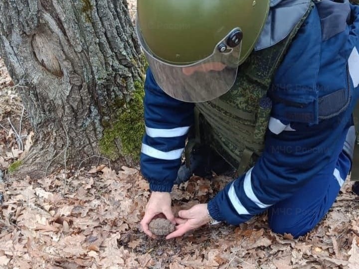 В Белгородской области ликвидировали два боеприпаса