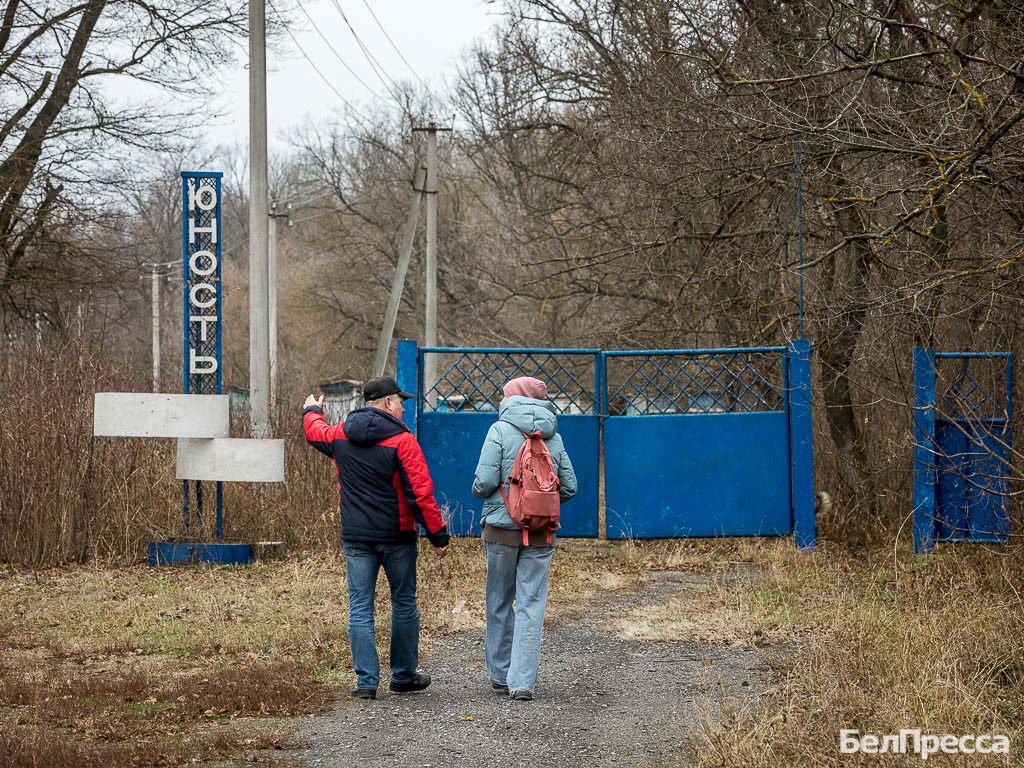 Остров детства. Почему волоконовцы мечтают возродить пионерский лагерь «Юность»