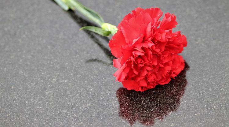 В Белгородской области готовятся расширить закон об увековечивании памяти героев