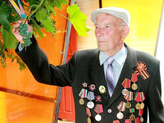 Война и голуби 99-летнего новооскольца