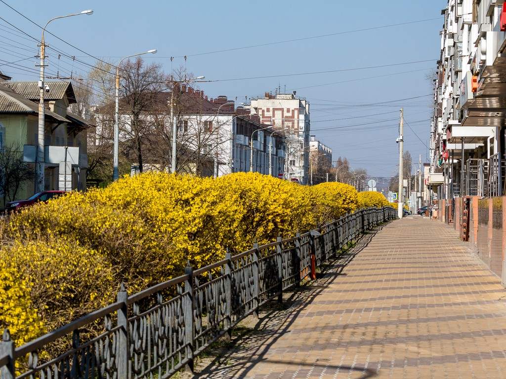 Не хватает зелени и досуга. Что происходит с благоустройством городов Белгородской области