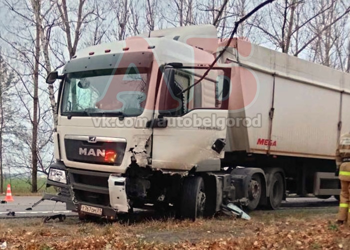 В Чернянском районе грузовик пытался объехать косулю и столкнулся с «семёркой»