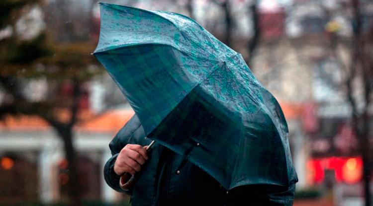 В Белгородской области ожидаются кратковременные дожди