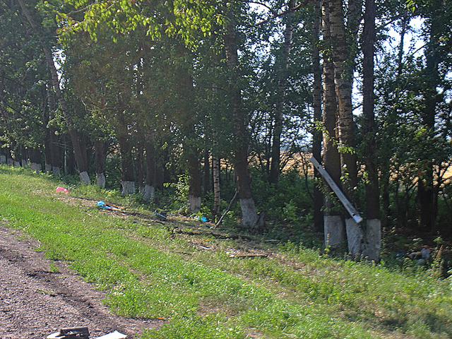 В Прохоровском районе столкнулись мерседес и фура