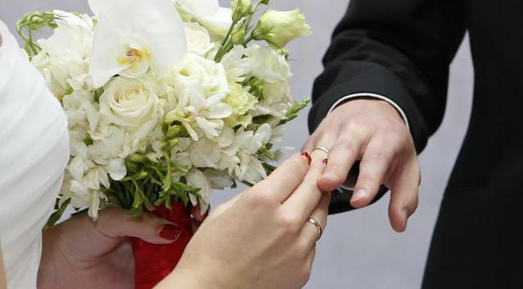 В Белгородской области 89 пар поженятся накануне Дня семьи, любви и верности