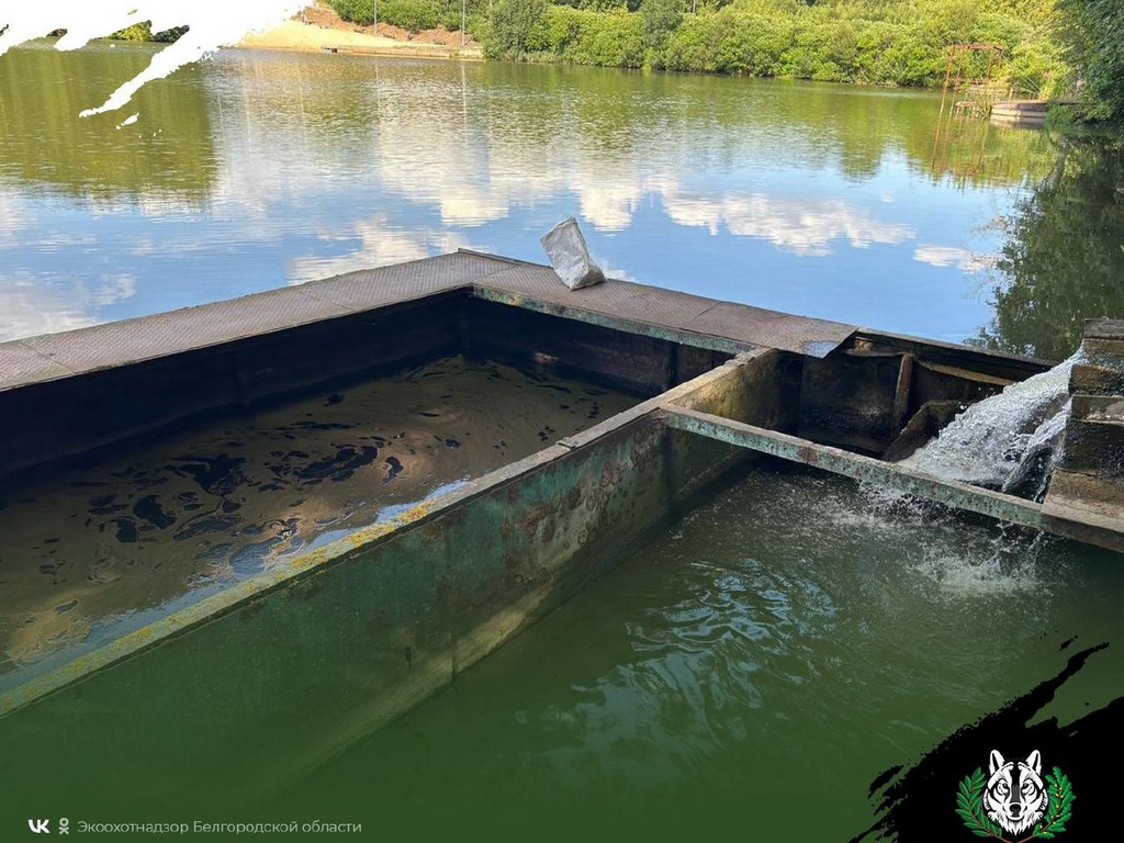 Ракитянское предприятие наказали за загрязнение водоёма в природном заказнике