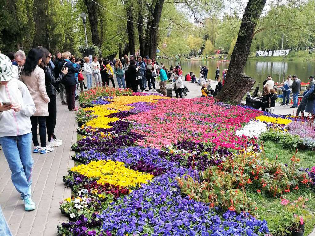 Фестиваль цветов белгород фото