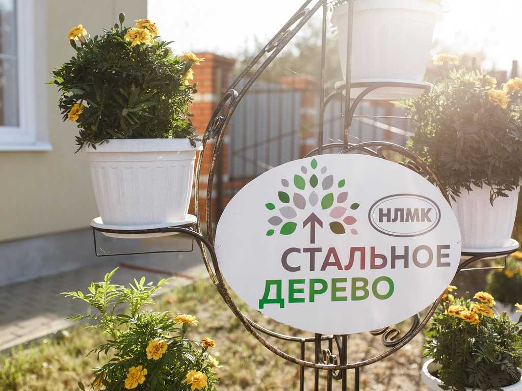 Более 100 заявок от жителей Белгородской области претендуют на гранты «Стального дерева»